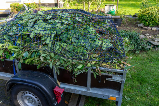 Best Shed Removal  in Bangor, PA